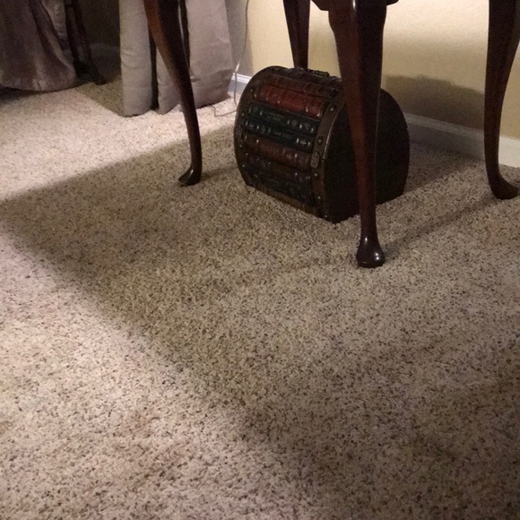 Meet your Posher, Casey - Picture 1 of 1